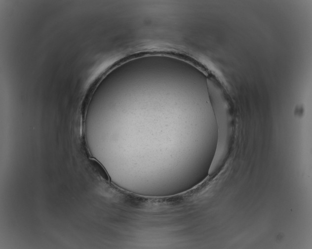 X0000089451269200707131919