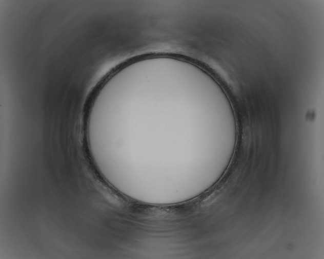 X0000089451270200707131919