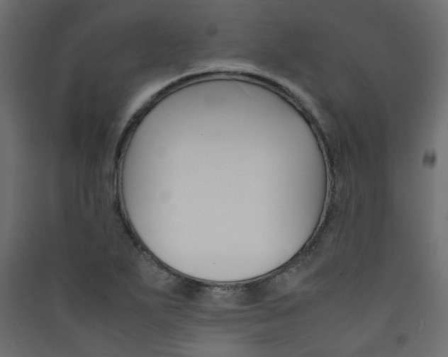 X0000089451271200707131919