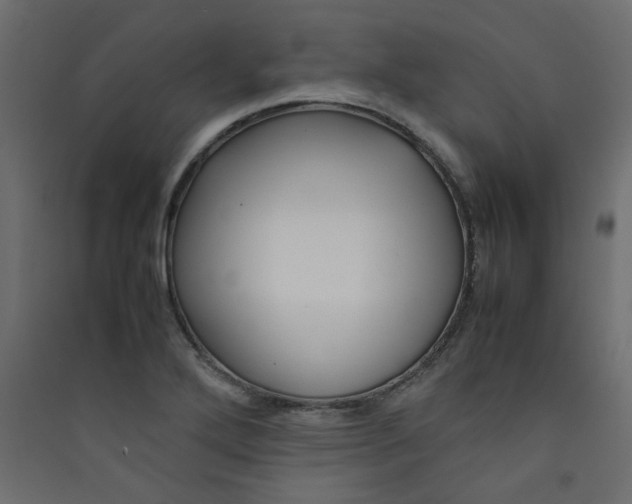 X0000089451272200707131919