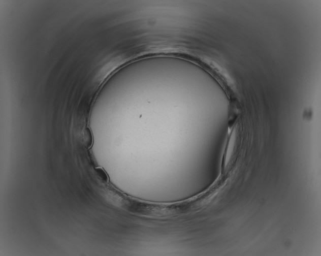 X0000089451273200707131919