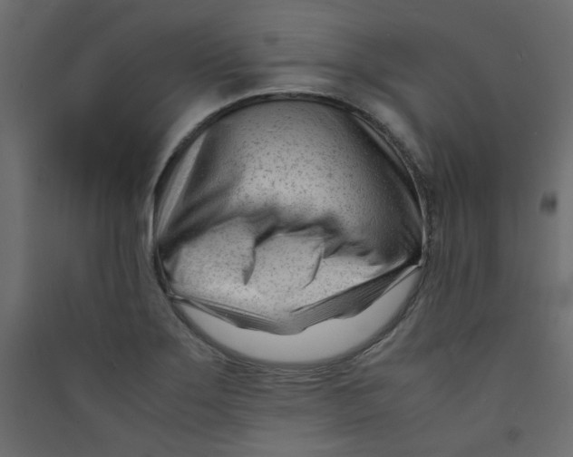 X0000089451275200707131919