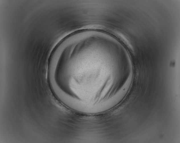 X0000089451276200707131919