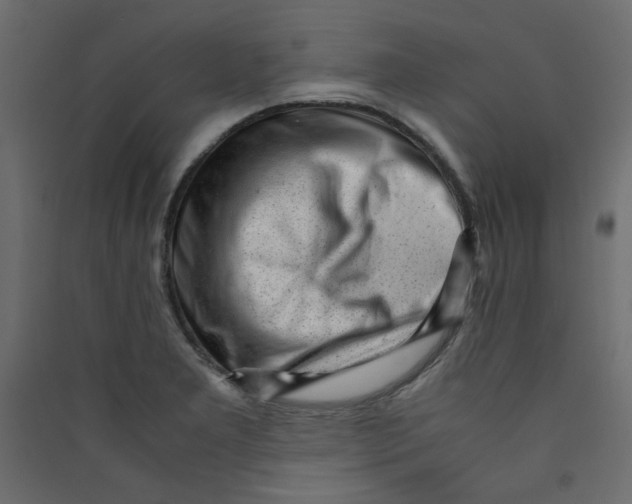 X0000089451277200707131919