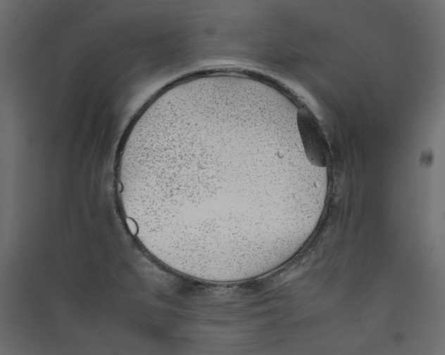 X0000089451279200707131919