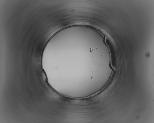 X0000089451281200707131919