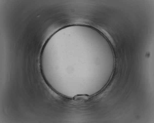 X0000089451285200707131919