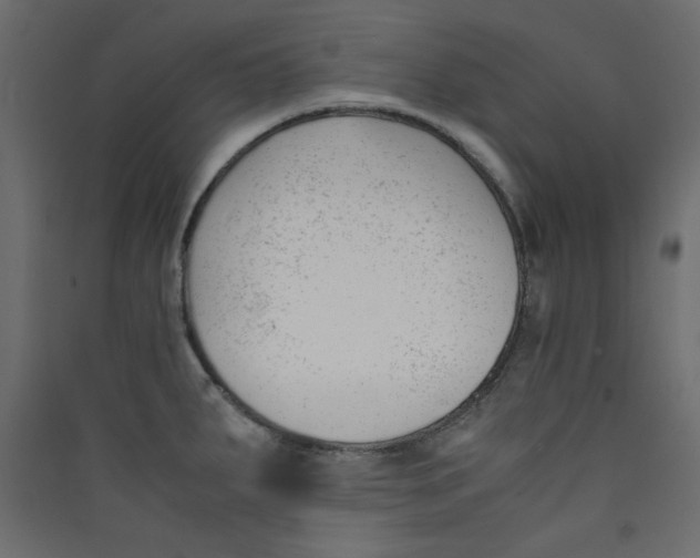 X0000089451287200707131919