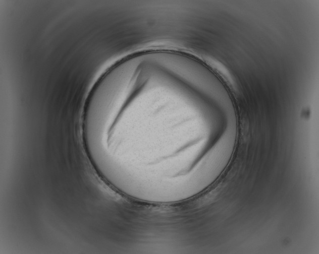 X0000089451288200707131919