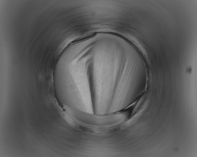 X0000089451289200707131919