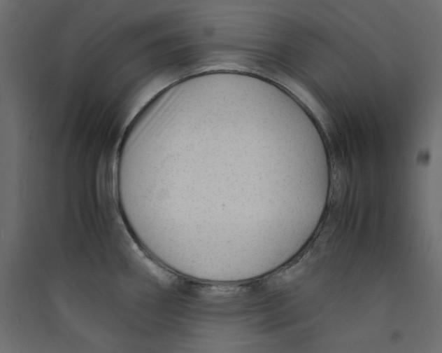 X0000089451290200707131919