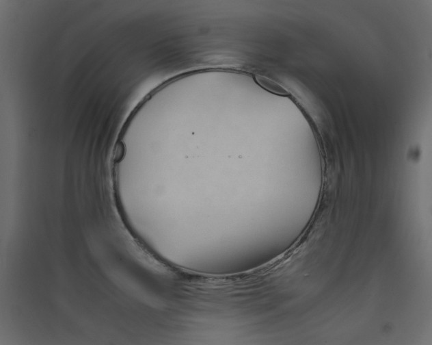 X0000089451291200707131919