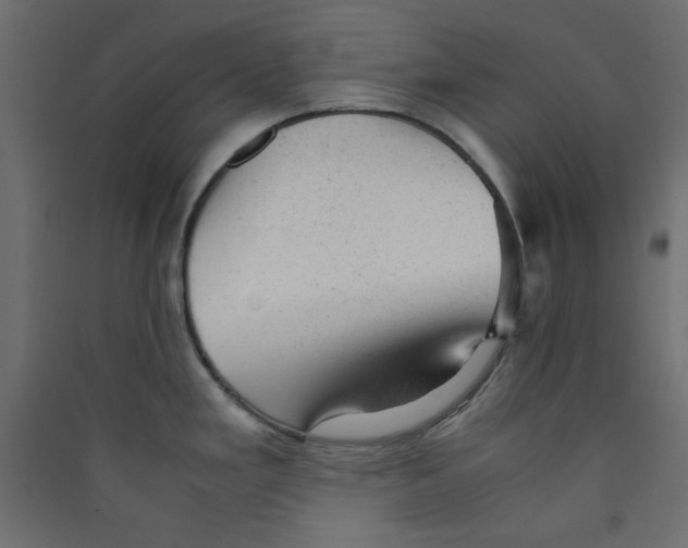 X0000089451293200707131919