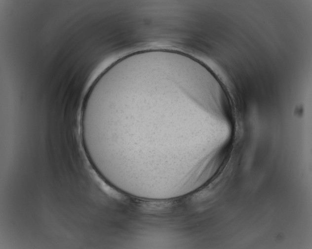 X0000089451294200707131919