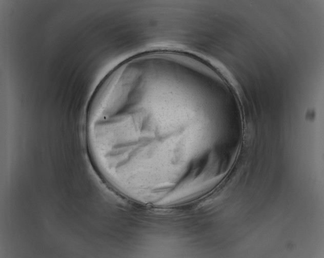 X0000089451295200707131919