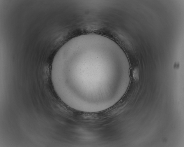 X0000089451299200707131918