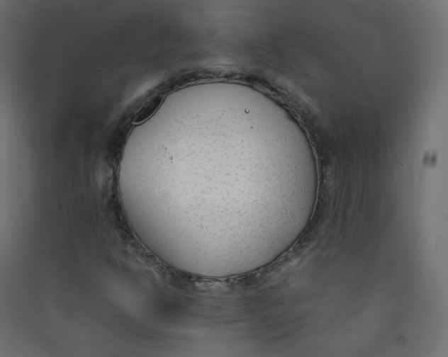 X0000089451302200707131918