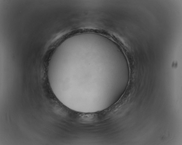 X0000089451303200707131918