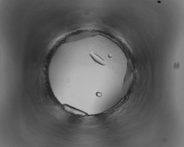 X0000089451304200707131918