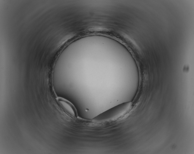 X0000089451305200707131918