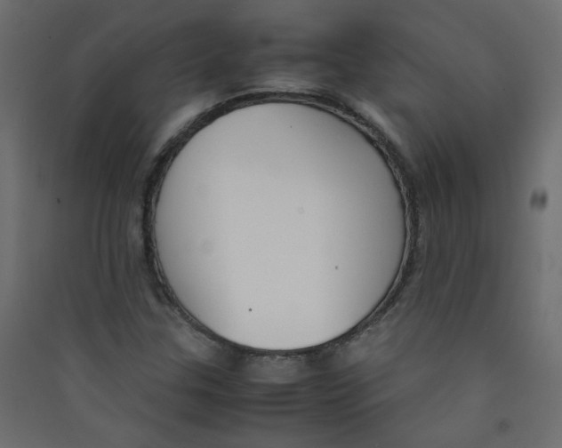 X0000089451307200707131918