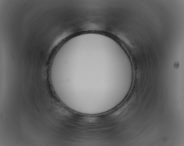 X0000089451309200707131918