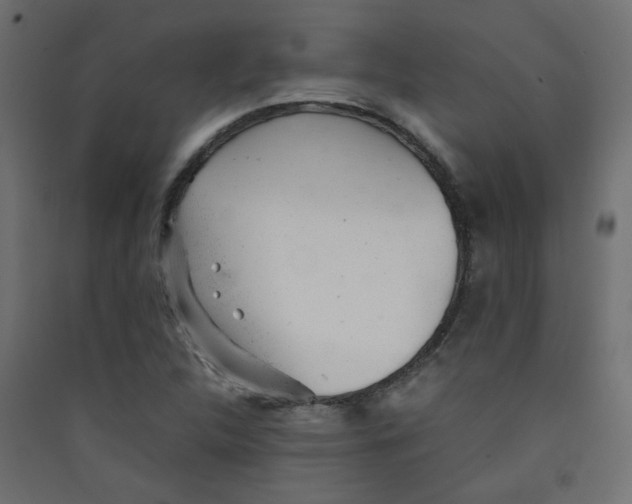 X0000089451312200707131918