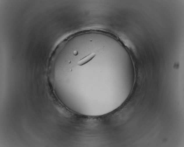 X0000089451316200707131918