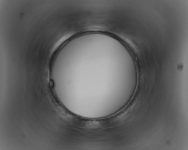 X0000089451317200707131918