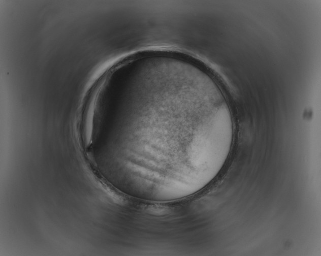 X0000089451319200707131918