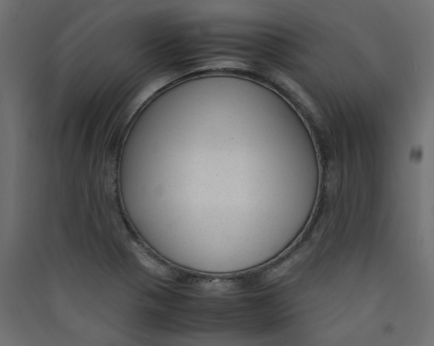 X0000089451321200707131918