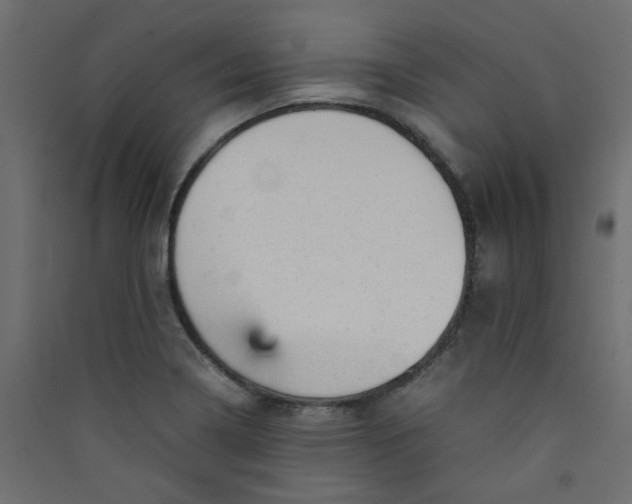 X0000089451322200707131918