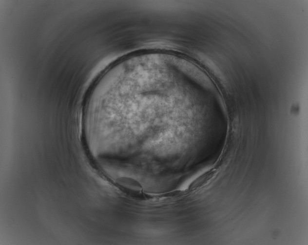 X0000089451323200707131918