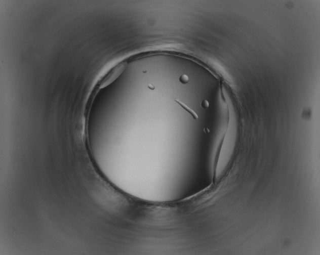 X0000089451324200707131918