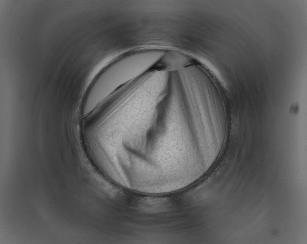 X0000089451325200707131918