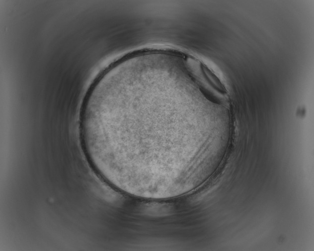 X0000089451327200707131919