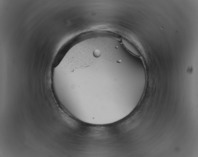 X0000089451328200707131919