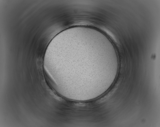 X0000089451329200707131919