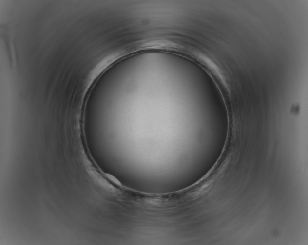 X0000089451330200707131919