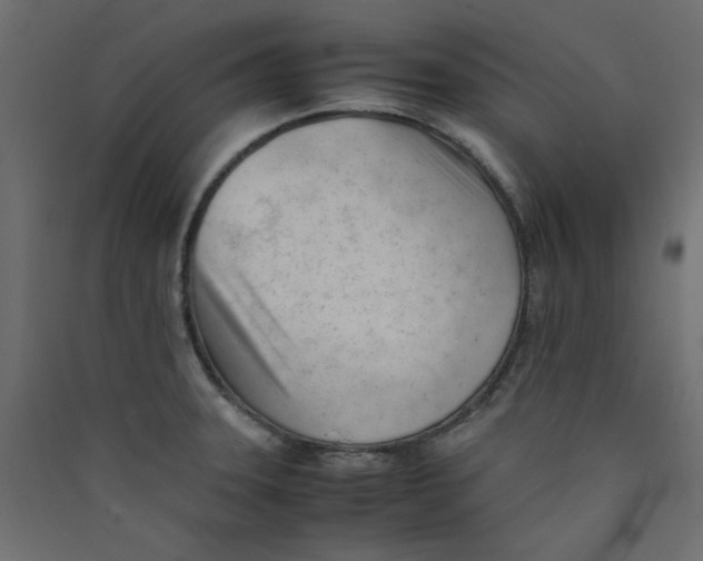 X0000089451331200707131919