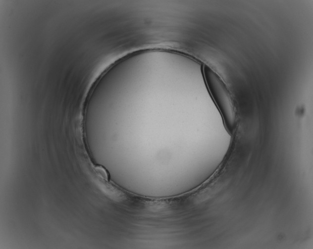 X0000089451332200707131919