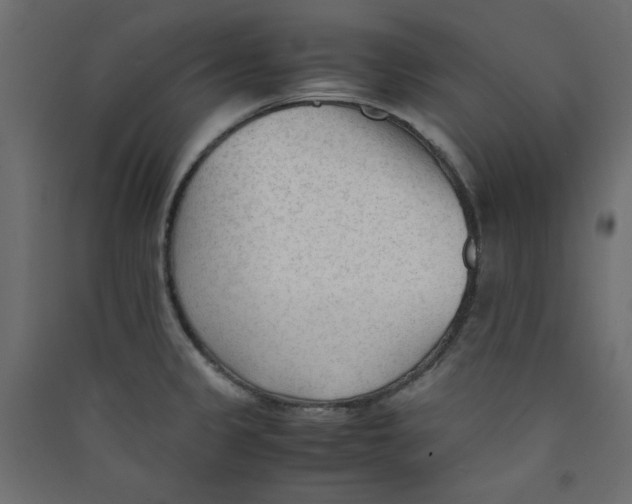 X0000089451333200707131919