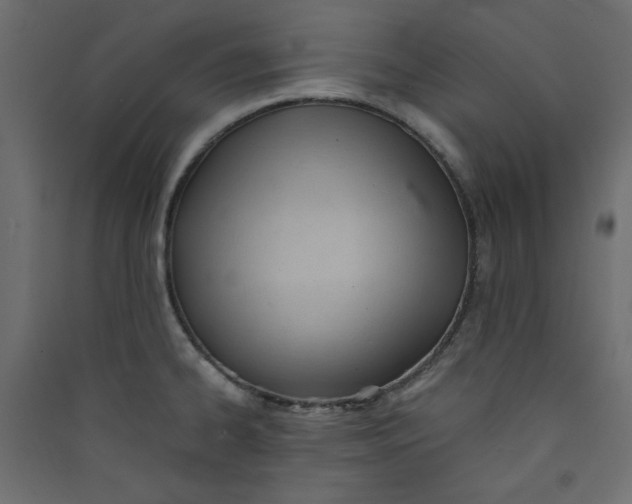 X0000089451334200707131919