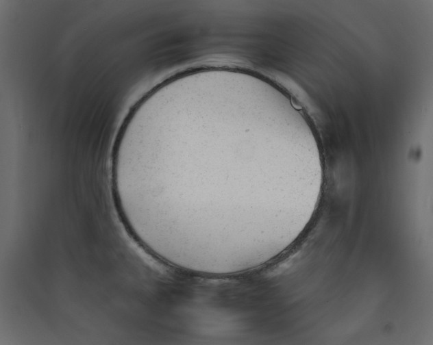 X0000089451335200707131919