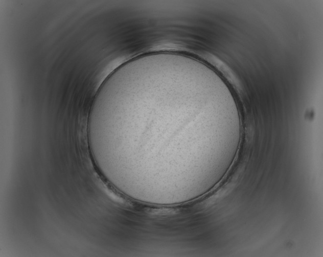 X0000089451337200707131919