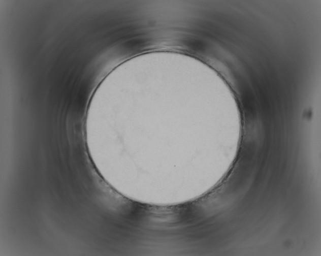 X0000089451338200707131919