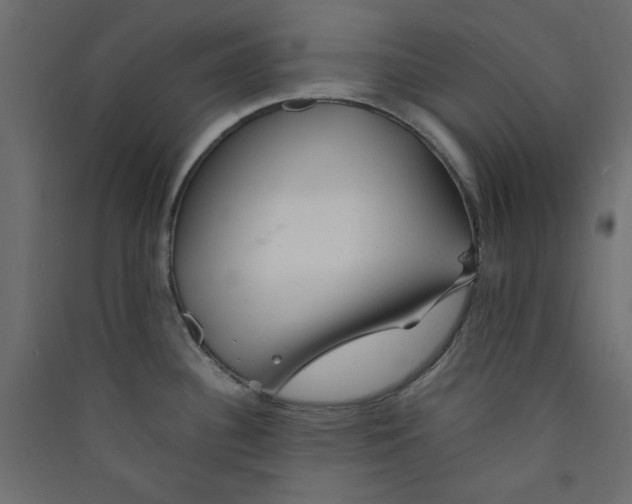 X0000089451340200707131919