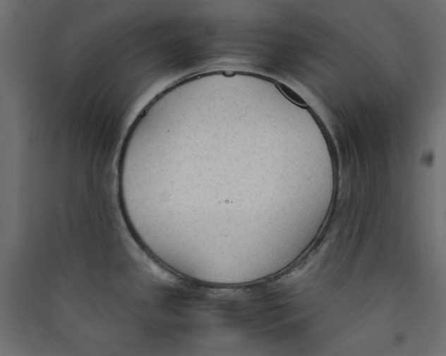 X0000089451341200707131919