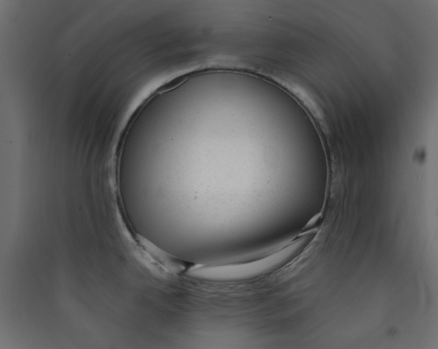 X0000089451342200707131919