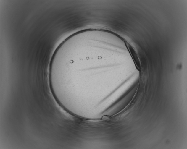 X0000089451343200707131919